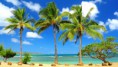 /album/fondos-de-pantalla-para-tu-compu/www-bancodeimagenesgratuitas-com-paisajes-naturales-nature-landscapes-2-jpg/